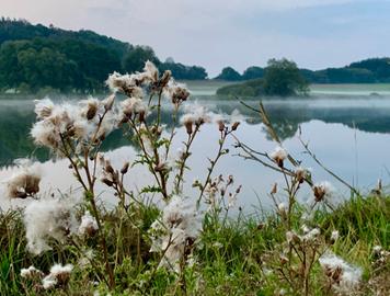 hallo hessen - Wetterbilder