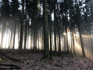 Wetterfotos hallo hessen