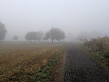 hallo hessen - Wetterbilder