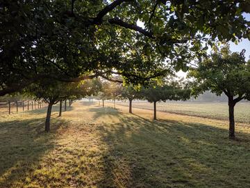 hallo hessen - Wetterbilder