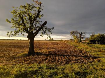 hallo hessen - Wetterbilder