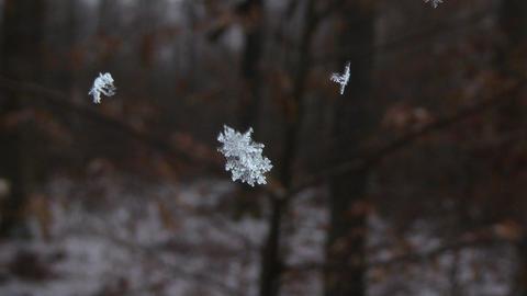 Nahaufnahme von 3 Schneeflocken.