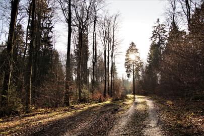 Wetterfotos hallo hessen