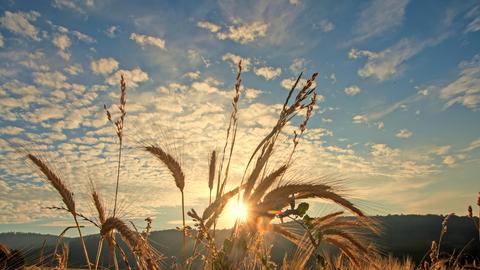 Wetterbilder