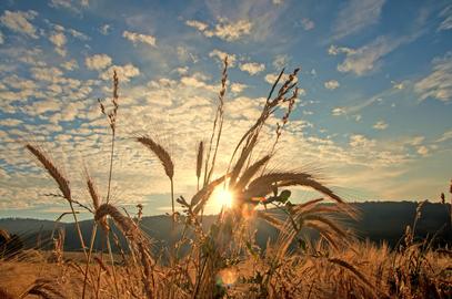 Wetterbilder