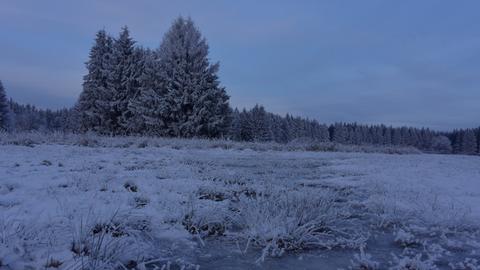 Vereistes und mit Schnee bedeckte Moorfläche vor einem Waldstück.