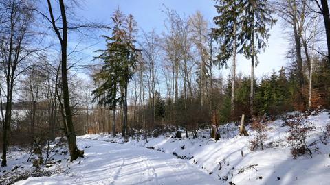 Ein Feldweg im Schnee.