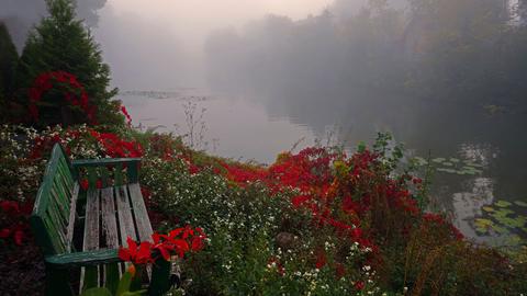 HalloHessen-Zuschauerbilder-Oktober