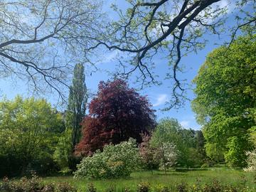 Wetterbilder hallo hessen