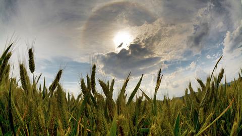 Wetter-Bilder hallo hessen