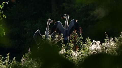 Wetter-Bilder Antja Prenzer aus Marburg