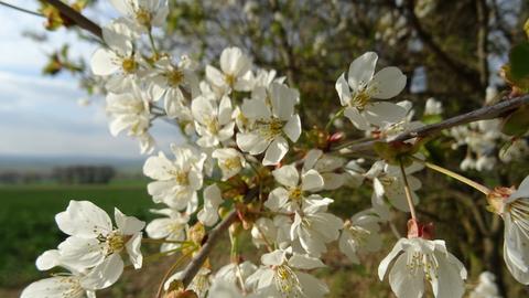 Wetter-Bilder Birgit Zeiss aus Willingshausen