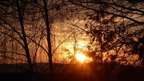 Wetter-Bilder Brigitte Volk aus Groß-Umstadt