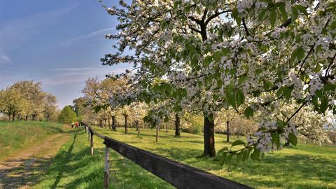 Wetter-Bilder Burkhard Kling aus Stammheim