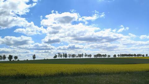 Wetter-Bilder Dagma Kuncke aus Sachsenhausen-Waldeck