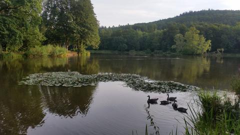 Wetter-Bilder Dagmar Kahl aus Büdingen