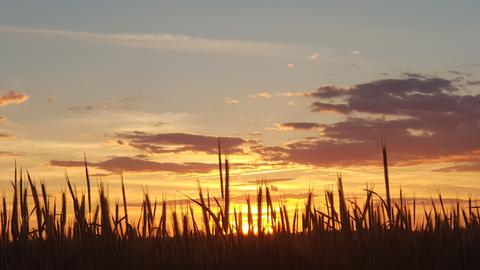 Wetter-Bilder Dominik Müller aus Rodgau