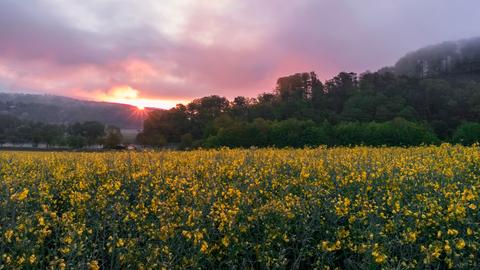 hallo hessen Wetterbilder