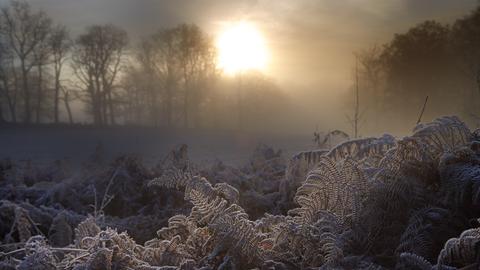 Wetterfoto - G. Germann 