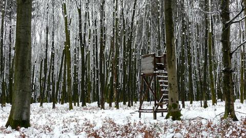 Wetter-Bilder Gerd Merz aus Niedergründau