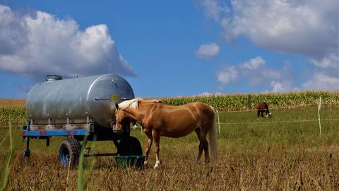 Wetter-Bilder hallo hessen