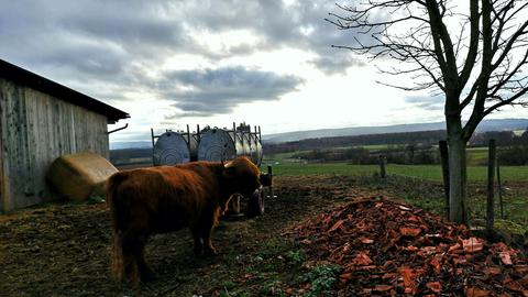 Wetter-Bilder Günther Appich aus Gründau-Rothenbergen