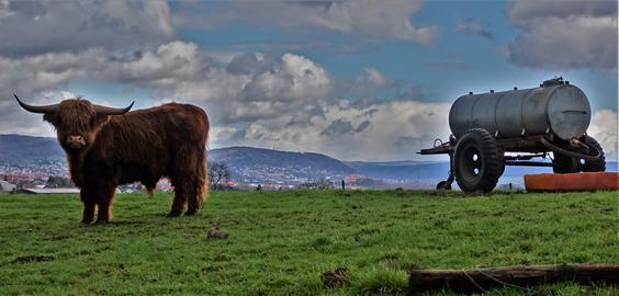 hallo hessen Wetterbilder