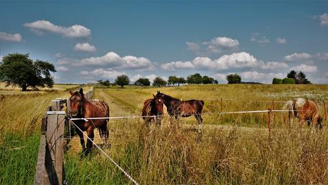 Wetter-Bilder