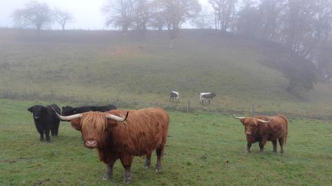 Wetterfoto - Hadwiga Machar aus Heidenrod