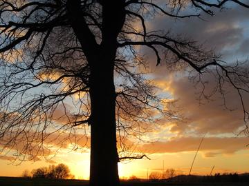 hallo hessen Wetterbilder