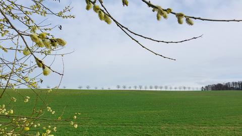 Wetter-Bilder Heinz Gengenbach aus Ober-Ramstadt