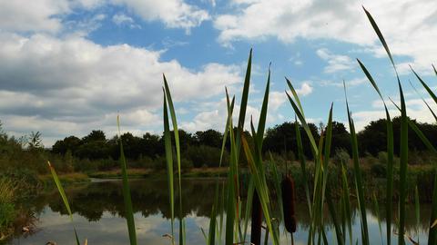 hallo hessen Wetterbilder