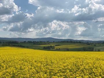 Wetterbilder hallo hessen