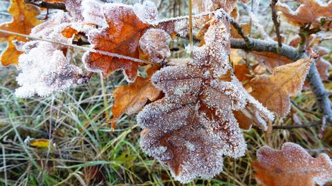 Wetterfotos November 2018