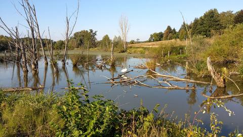 hallo hessen Wetterbilder