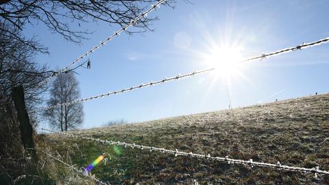 Vereiste Wiese im Gegenlicht. 