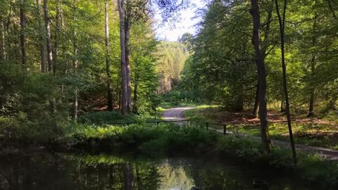 Wetter-Bilder hallo hessen