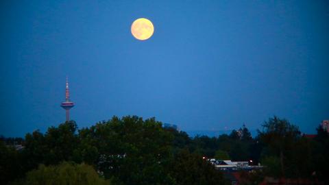 Wetter-Bilder Monika Rogel aus Kronberg