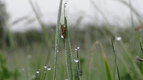 Wetter-Bilder Moritz Nagel aus Ober-Lais