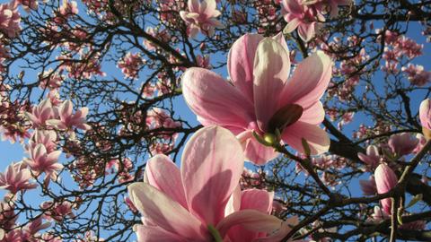 Wetter-Bilder Norbert Sattler aus Offenbach