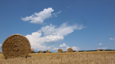 Wetter-Bilder Petra Melzer aus Runkel