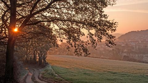 Vereiste Wiese mit Bäumen im Vordergrund und einem Dorf im Hintergrund. 