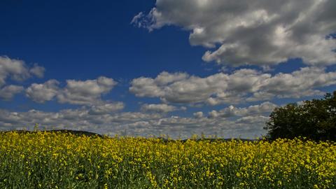 Wetter-Bilder Renate Maurer aus Morschen