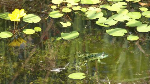 Wetter-Bilder Sylvia Meier aus Maintal