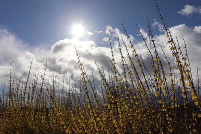 Wetterbilder