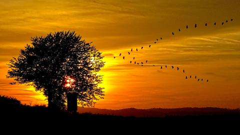 HalloHessen-Zuschauerbilder-Oktober