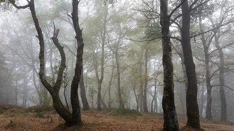 HalloHessen-Zuschauerbilder-Oktober