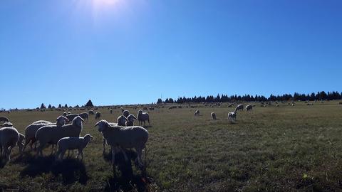 HalloHessen-Zuschauerbilder-Oktober