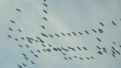 Wetterfoto-Oktober - Renate Maurer aus Morschen