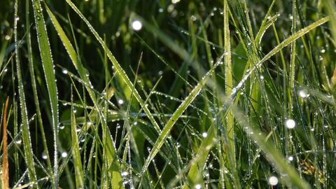 Wetter-Fotos Carina Grisse aus Spangenberg